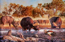 At a waterhole