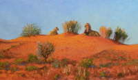 African Lion
