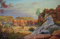 Leopard in Mapungupwe S A