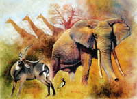 Animal Study