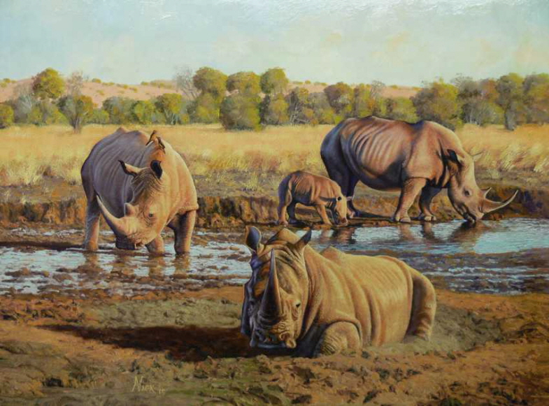 White Rhino at the water hole
