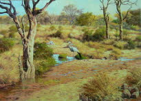 Dry riverbed