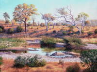 Timbavati river S A