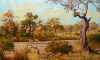 Timbevati river