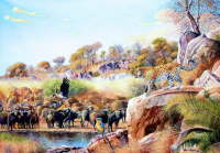 Buffalo and Leopard
