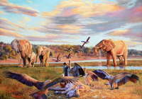 Chobe
