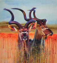 Kudu