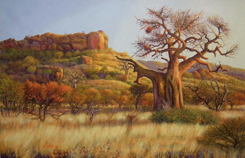 Baobab, Mapungupwe. S A