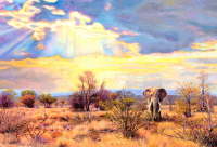 African Elephant