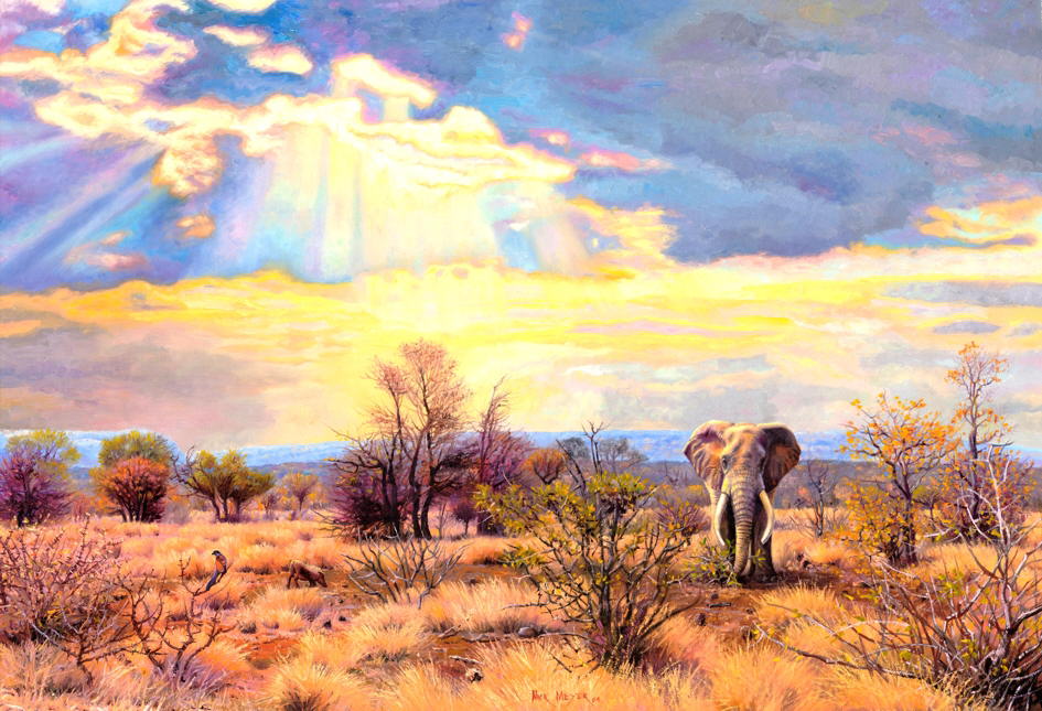 African Elephant