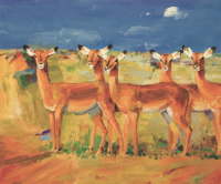 Impala