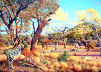 Waterhole in the Kruger Park